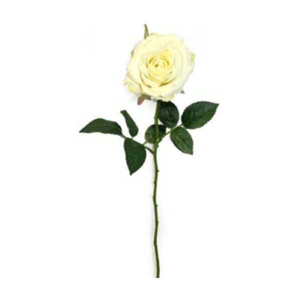Toolhome Blossoms – Rose Half Open – White (Pack of 6) – 68cm