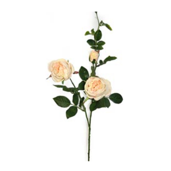 Toolhome Blossoms – Cabbage Rose – Pink Pearl – 78cm