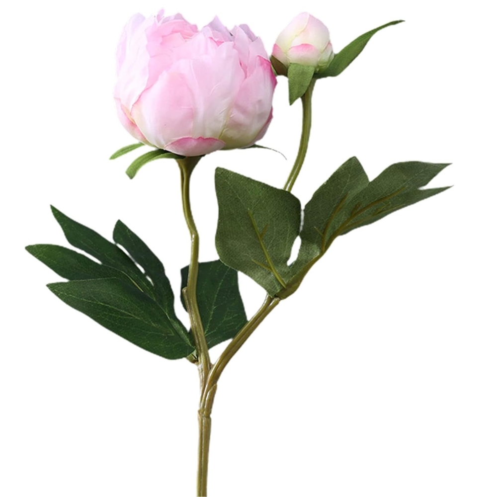 Toolhome Blossoms – Peony – Pack of 6 Stems – 49cm – Pink