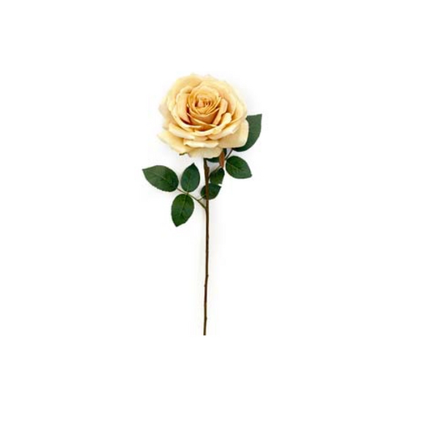 Toolhome Blossoms – Rose Full Bloom – Butter – Pack of 6 – 64cm
