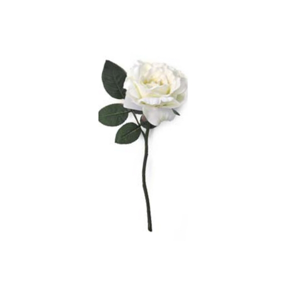 Toolhome Blossoms – Rose Georgia – White – Pack of 6 Stems – 30cm