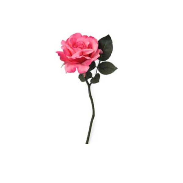 Toolhome Blossoms – Rose Georgia – Dark Pink – Pack of 6 Stems – 30cm