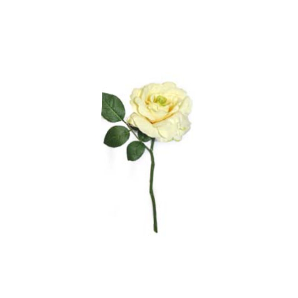 Toolhome Blossoms – Rose Georgia – Lemon – Pack of 6 Stems – 30cm