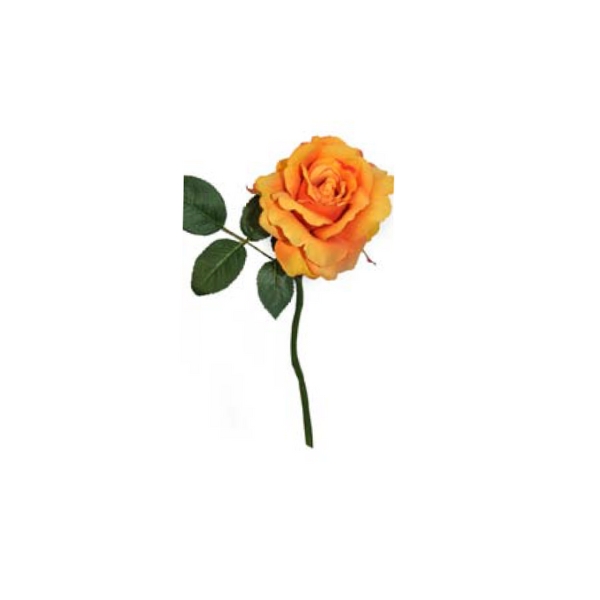 Toolhome Blossoms – Rose Georgia – Orange – Pack of 6 Stems – 30cm