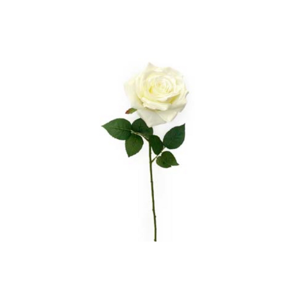 Toolhome Blossoms – Rose Full Bloom – White – Pack of 6 – 64cm