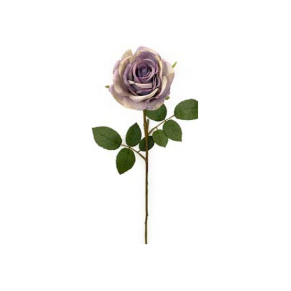 Toolhome Blossoms – Roses – Purple Green – Pack of 6 Stems – 64cm