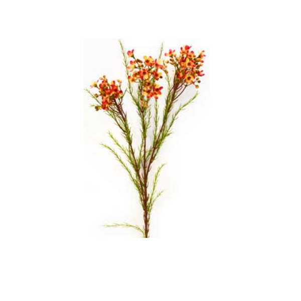 Toolhome Blossoms – Wax Flowers – Orange – 78cm
