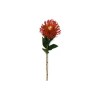 Toolhome Blossoms – Orange Pincushions – 73cm Toolhome Blossoms – Orange Pincushions – 73cm