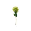 Toolhome Blossoms – Green Pincushions – Pack of 6 – 73cm Toolhome Blossoms – Green Pincushions – Pack of 6 – 73cm