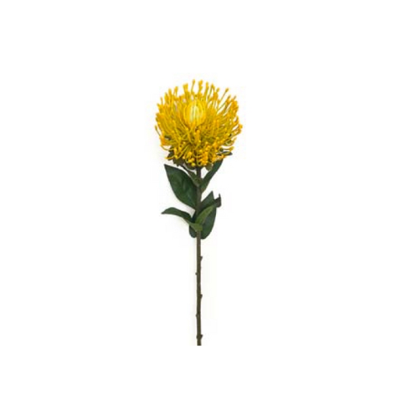 Toolhome Blossoms – Yellow Pincushions – 73cm