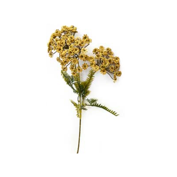 Toolhome Blossoms – Dill – Mustard – 63.5cm