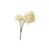 Toolhome Blossoms – Crown Cream – 81cm Toolhome Blossoms – Crown Cream – 81cm