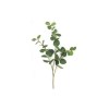 Toolhome Blossoms – Eucalyptus – Green – Pack of 12 Stems – 62cm Toolhome Blossoms – Eucalyptus – Green – Pack of 12 Stems – 62cm