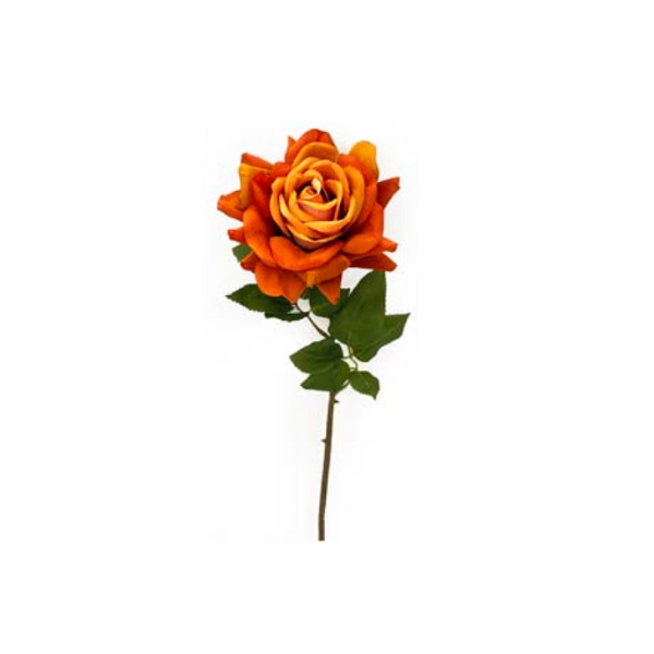 Toolhome Blossoms – Rose Velvet – Orange – Pack of 12 Stems – 52cm