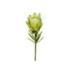 Toolhome Blossoms – Small Protea Single – Green – 38cm Toolhome Blossoms – Small Protea Single – Green – 38cm