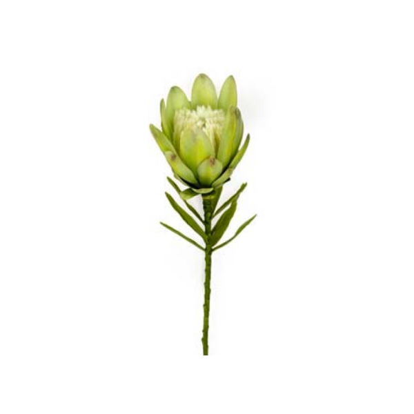 Toolhome Blossoms – Small Protea Single – Green – 38cm