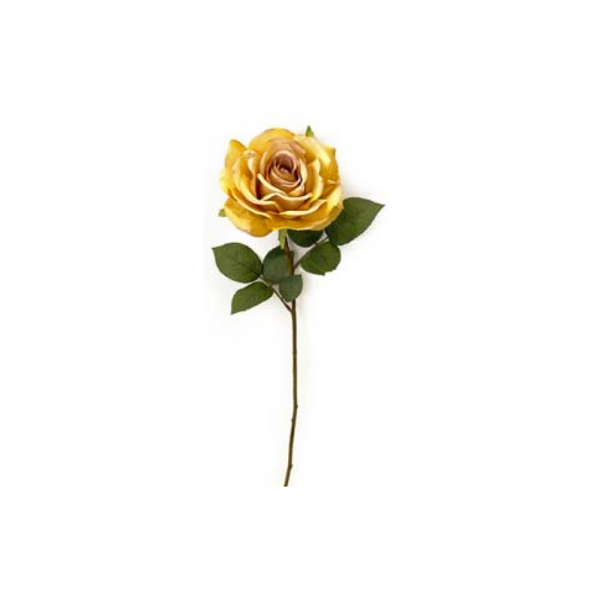 Toolhome Blossoms – Roses – Gold – Pack of 6 Stems – 64cm