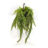 Toolhome Blossoms – Fern Hanging Grass Ball – 61cm Toolhome Blossoms – Fern Hanging Grass Ball – 61cm