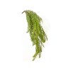 Toolhome Blossoms – Hanging Fern Bush Green – 72cm Toolhome Blossoms – Hanging Fern Bush Green – 72cm