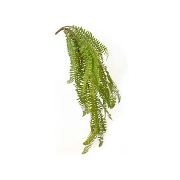 Toolhome Blossoms – Hanging Fern Bush – Green – 72cm – Pack of 4