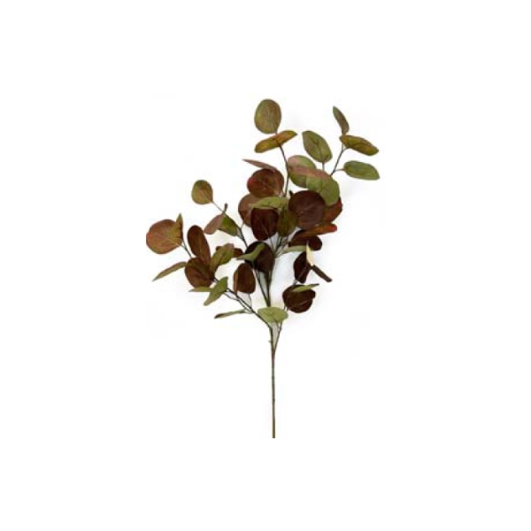 Toolhome Blossoms – Silver Dollar Eucalyptus Brown Green – 89cm – Pack of 6