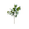 Toolhome Blossoms – Silver Dollar Eucalyptus Grey Green – 89cm – Pack of 6 Toolhome Blossoms – Silver Dollar Eucalyptus Grey Green – 89cm – Pack of 6