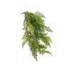Toolhome Blossoms – Rabbit Fern Hanging Bush – 76cm Toolhome Blossoms – Rabbit Fern Hanging Bush – 76cm