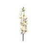 Toolhome Blossoms – Orchid Vanda White – 74cm – Pack of 4 Toolhome Blossoms – Orchid Vanda White – 74cm – Pack of 4