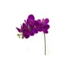 Toolhome Blossoms – Phalaenopsis Purple – 72cm – Pack of 4 Toolhome Blossoms – Phalaenopsis Purple – 72cm – Pack of 4