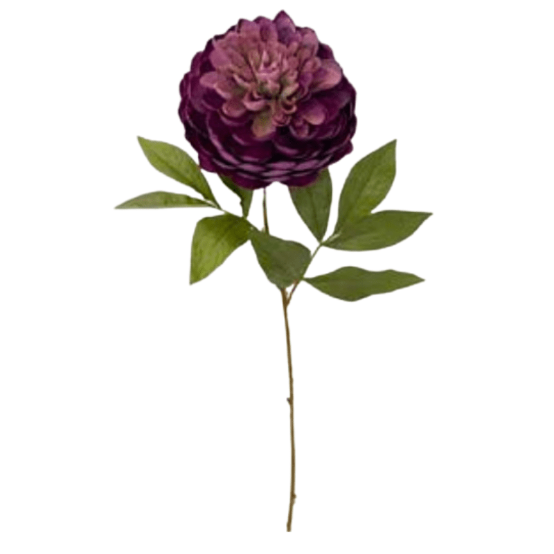 Toolhome Blossoms – Dahlia – Purple (Pack of 12 Stems) – 62cm