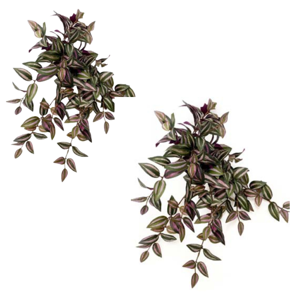 Toolhome Blossoms – Hanging Zebra Bush – Purple – Pack of 2 – 51cm