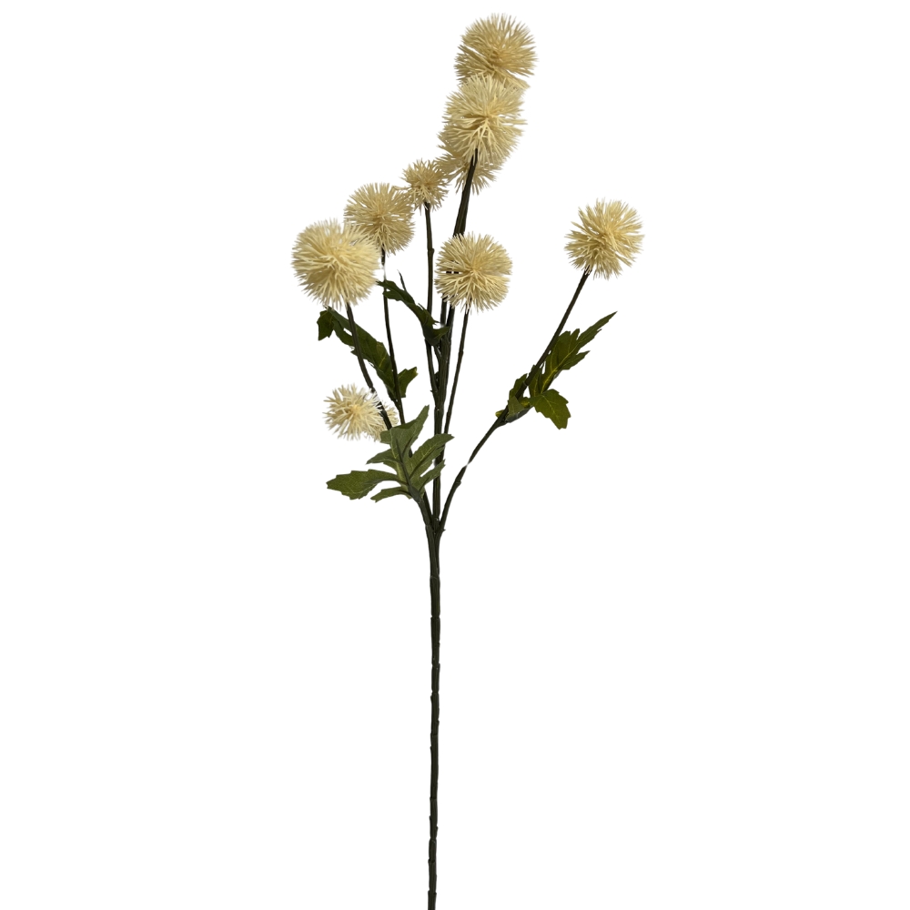 Toolhome Blossoms – Pom Pom – Spray Cream – 61cm
