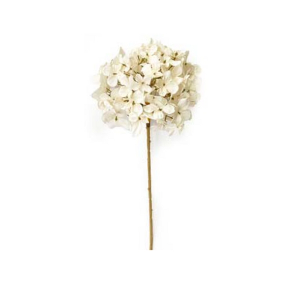 Toolhome Blossoms – Hydrangea Dry White – 44cm