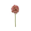 Toolhome Blossoms – Allium Giant Dusty Pink – 80cm Toolhome Blossoms – Allium Giant Dusty Pink – 80cm