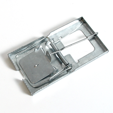 Trap Mouse Steel 120mmx65mm 1/Pkt