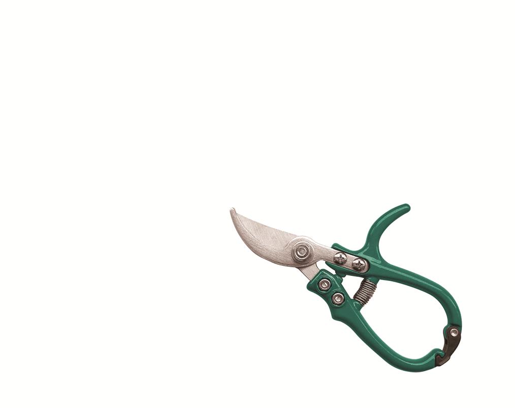 Raco – By Pass Palm Shear