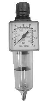 ANI Regulator Filter 1|4″ M|140|2