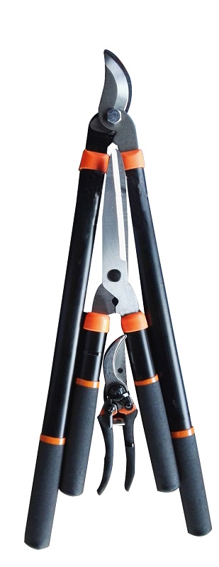 Fragram – Pruning Set – Set of 3
