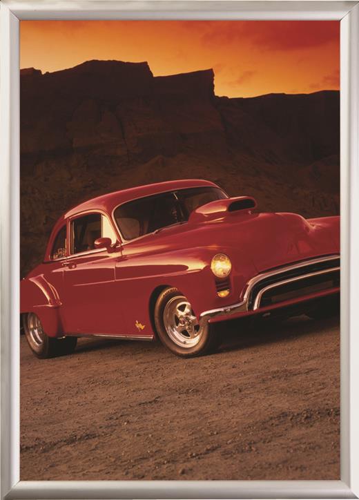 Parrot Poster Frame – Security Frame with Mitred Corners – A4