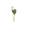 Protea Bud 69cm Cream Protea Bud 69cm Cream