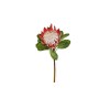 King protea 74cm Rust Rose King protea 74cm Rust Rose