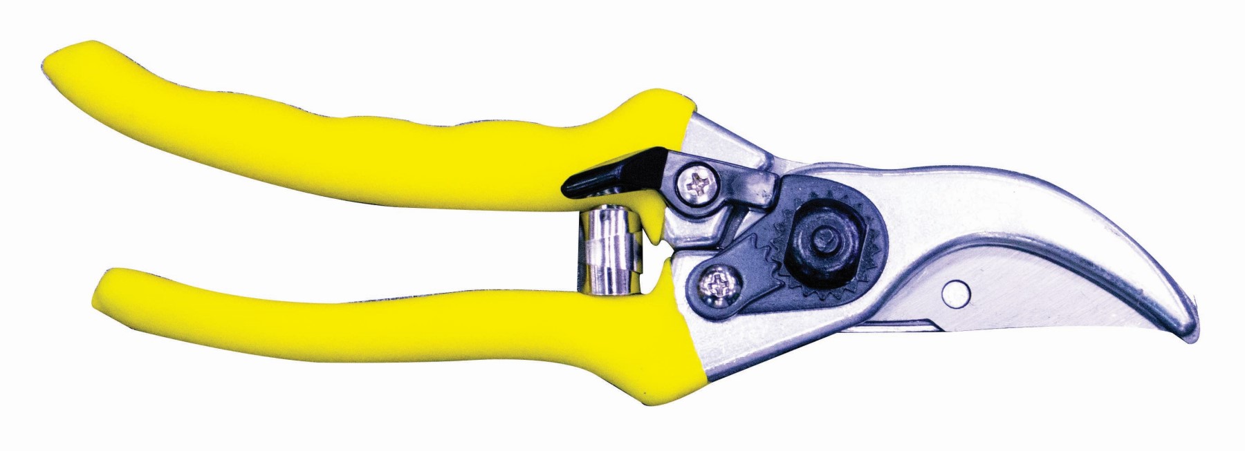 MTS Secature Pruning By-Pass