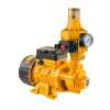 Ingco Water Pump 0.75kw + Automatic Pump Control Ingco Water Pump 0.75kw + Automatic Pump Control