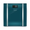 Taurus – “Syncro Glass” BMI Digital Bathroom Scale Taurus – “Syncro Glass” BMI Digital Bathroom Scale