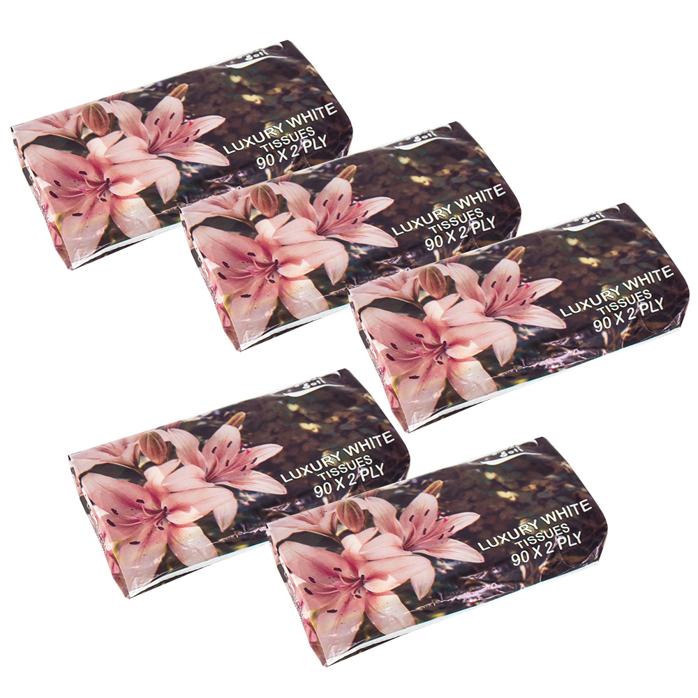 Luxury White Facial Tissues – Pack of 5 Boxes of 90