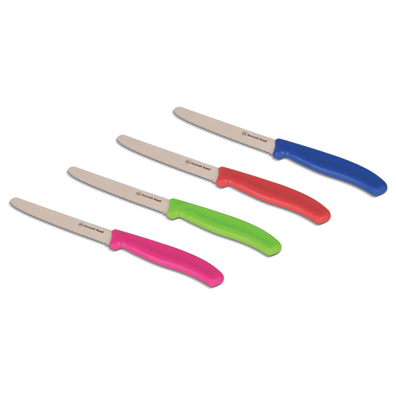 Bennett Read 4 Pieces Serrated Knife Set