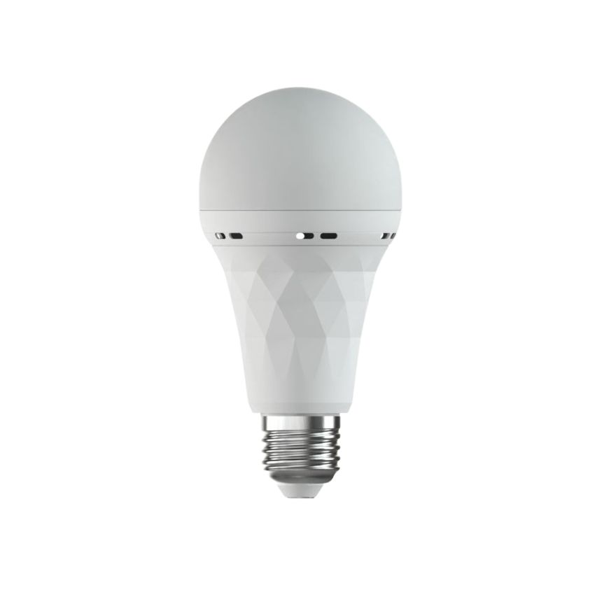 Gizzu – Everglow Screw-in Rechargeable Emergency LED Bulb – Pack of 10