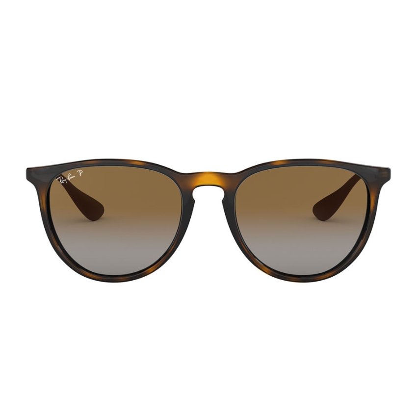 Ray-Ban ERIKA RB4171 710-T5 51 Polarized Sunglasses
