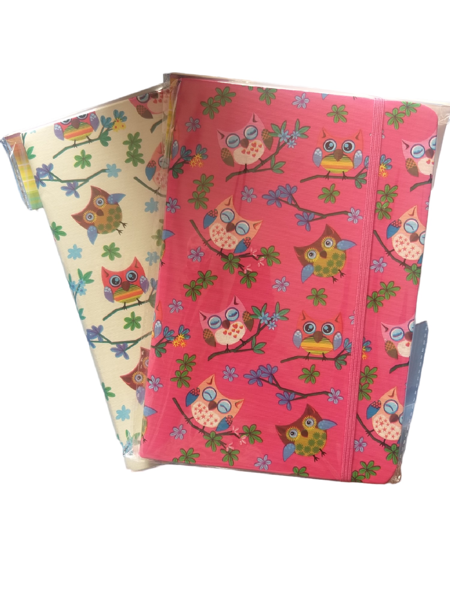 Novelty Note book Assorted (Pack of 2)