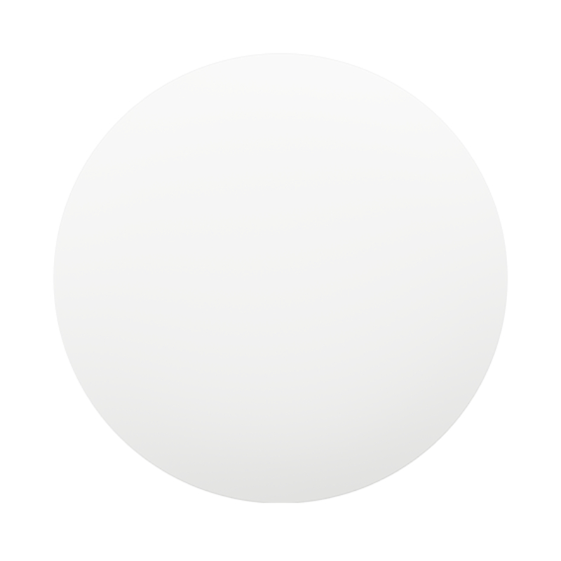 Xiaomi Smart LED Ceiling Light